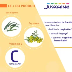 Expert voies respiratoires Juvamine - boîte de 30 comprimés à sucer