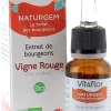 Extrait de bourgeons Vigne rouge bio Vitaflor - flacon de 15 ml