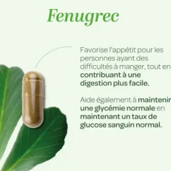 Fenugrec bio Super Diet - boite de 40 gélules