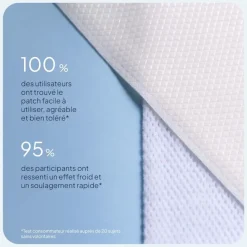 Flect'expert patch froid IBSA - boite de 5 patchs