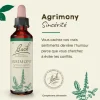 Fleur de Bach Agrimony Agrimonia eupatoria - flacon de 20 ml