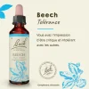 Fleur de Bach Beech Fagus sylvatica - flacon de 20 ml