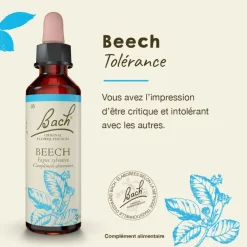 Fleur de Bach Beech Fagus sylvatica - flacon de 20 ml
