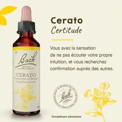 Fleur de Bach Cerato Ceratostigma willmattiana - flacon de 20 ml
