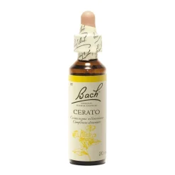 Fleur de Bach Cerato Ceratostigma willmattiana - flacon de 20 ml