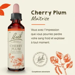 Fleur de Bach Cherry Plum Prunus cerasifera - flacon de 20 ml