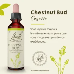Fleur de Bach Chestnut Bud Aesculus hippocastanum - flacon de 20 ml