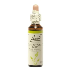 Fleur de Bach Chestnut Bud Aesculus hippocastanum - flacon de 20 ml