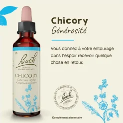 Fleur de Bach Chicory Cichorium intybus - flacon de 20 ml