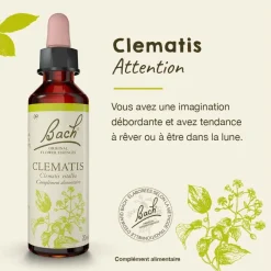 Fleur de Bach Clematis Clematis vitalba - flacon de 20 ml