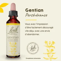 Fleur de Bach Gentian Gentiana amarella - flacon de 20 ml