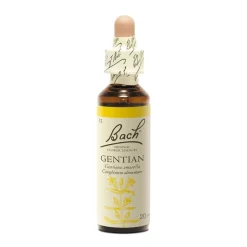 Fleur de Bach Gentian Gentiana amarella - flacon de 20 ml