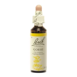 Fleur de Bach Gorse Ulex europaeus - flacon de 20 ml