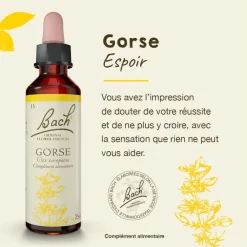 Fleur de Bach Gorse Ulex europaeus - flacon de 20 ml