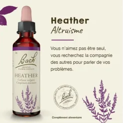 Fleur de Bach Heather Calluna vulgaris - flacon de 20 ml