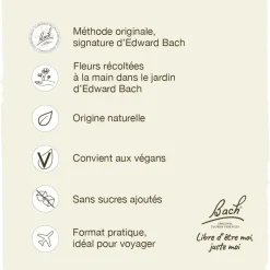 Fleur de Bach Holly Ilex aquifolium - flacon de 20 ml