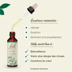 Fleur de Bach Holly Ilex aquifolium - flacon de 20 ml
