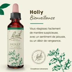 Fleur de Bach Holly Ilex aquifolium - flacon de 20 ml