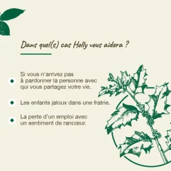 Fleur de Bach Holly Ilex aquifolium - flacon de 20 ml