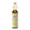 Fleur de Bach Honeysuckle Lonicera caprifolium - flacon de 20 ml