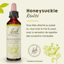 Fleur de Bach Honeysuckle Lonicera caprifolium - flacon de 20 ml