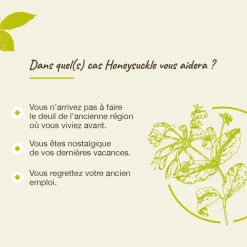 Fleur de Bach Honeysuckle Lonicera caprifolium - flacon de 20 ml