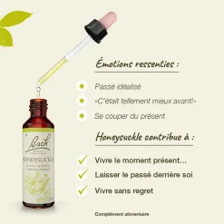 Fleur de Bach Honeysuckle Lonicera caprifolium - flacon de 20 ml