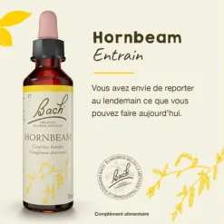 Fleur de Bach Hornbeam Carpinus betulus - flacon de 20 ml