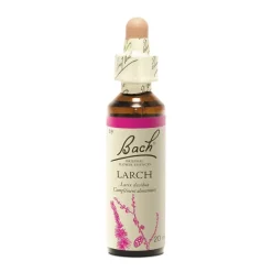 Fleur de Bach larch Larix decidua - flacon de 20 ml