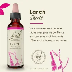 Fleur de Bach larch Larix decidua - flacon de 20 ml