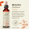 Fleur de Bach Mimulus Mimulus guttatus - flacon de 20 ml