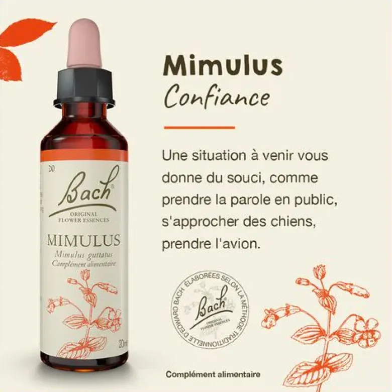 Fleur de Bach Mimulus Mimulus guttatus - flacon de 20 ml