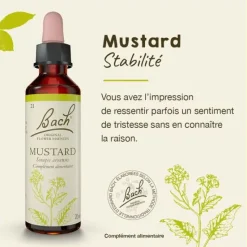 Fleur de Bach Mustard Sinapis arvensis - flacon de 20 ml
