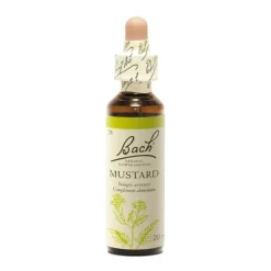 Fleur de Bach Mustard Sinapis arvensis - flacon de 20 ml