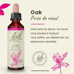 Fleur de Bach Oak Quercus robur - flacon de 20 ml