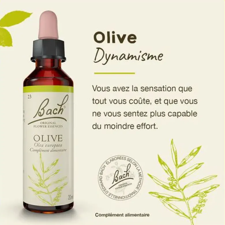 Fleur de Bach Olive Olea europaea - flacon de 20 ml
