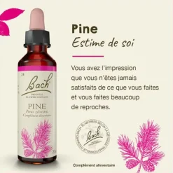 Fleur de Bach Pine Pinus sylvestris - flacon de 20 ml