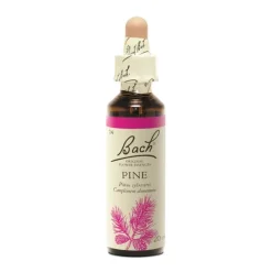 Fleur de Bach Pine Pinus sylvestris - flacon de 20 ml