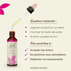 Fleur de Bach Pine Pinus sylvestris - flacon de 20 ml