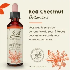Fleur de Bach Red Chestnut Aesculus carnea - flacon de 20 ml