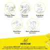 Fleur de Bach Rescue pastilles orange/sureau - boîte de 50 g