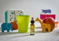 Fleur de Bach Rescue Remedy Kids réconforte et rassure - flacon de 10 ml