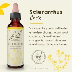 Fleur de Bach Scleranthus Scleranthus annuus - flacon de 20 ml