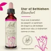 Fleur de Bach Star Of Bethlehem Ornithogalum umbellatum - flacon de 20 ml