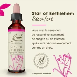 Fleur de Bach Star Of Bethlehem Ornithogalum umbellatum - flacon de 20 ml