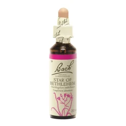 Fleur de Bach Star Of Bethlehem Ornithogalum umbellatum - flacon de 20 ml