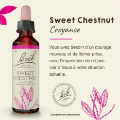 Fleur de Bach Sweet Chestnut Castanea sativa - flacon de 20 ml