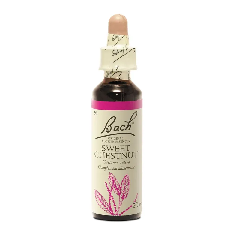 Fleur de Bach Sweet Chestnut Castanea sativa - flacon de 20 ml