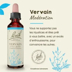 Fleur de Bach Vervain Verbena officinalis - flacon de 20 ml