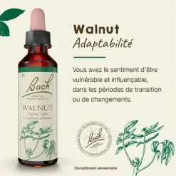 Fleur de Bach Walnut Juglans regia - flacon de 20 ml